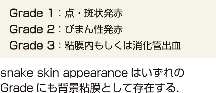 表1　Toyonagaらの分類． 