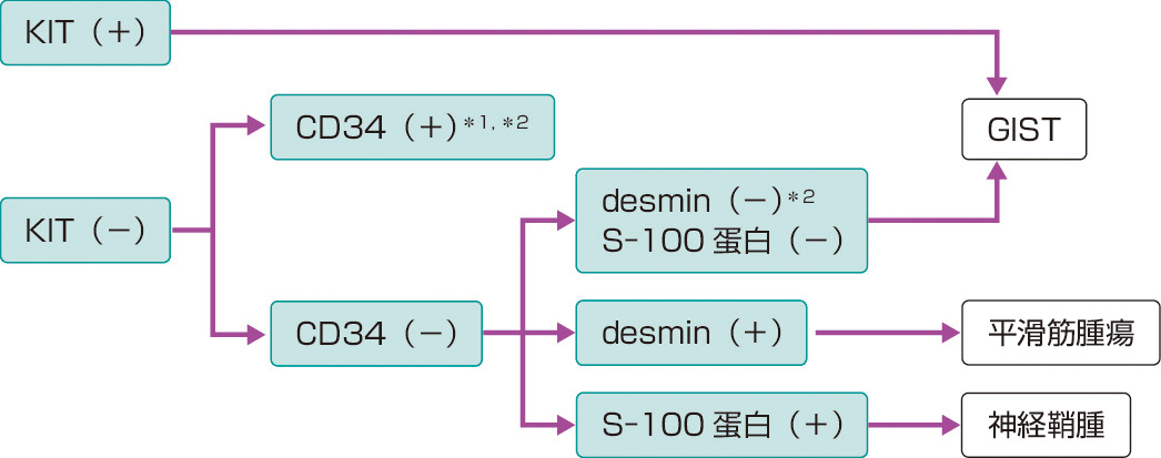 図1　病理診断． ＊1：このようなパターンを示す腫瘍にはsolitary fibrous tumorがあり，鑑別を要する． ＊2：このようなケースの診断にはc–kitやPDGFRA遺伝子の突然変異検索が有用となる．