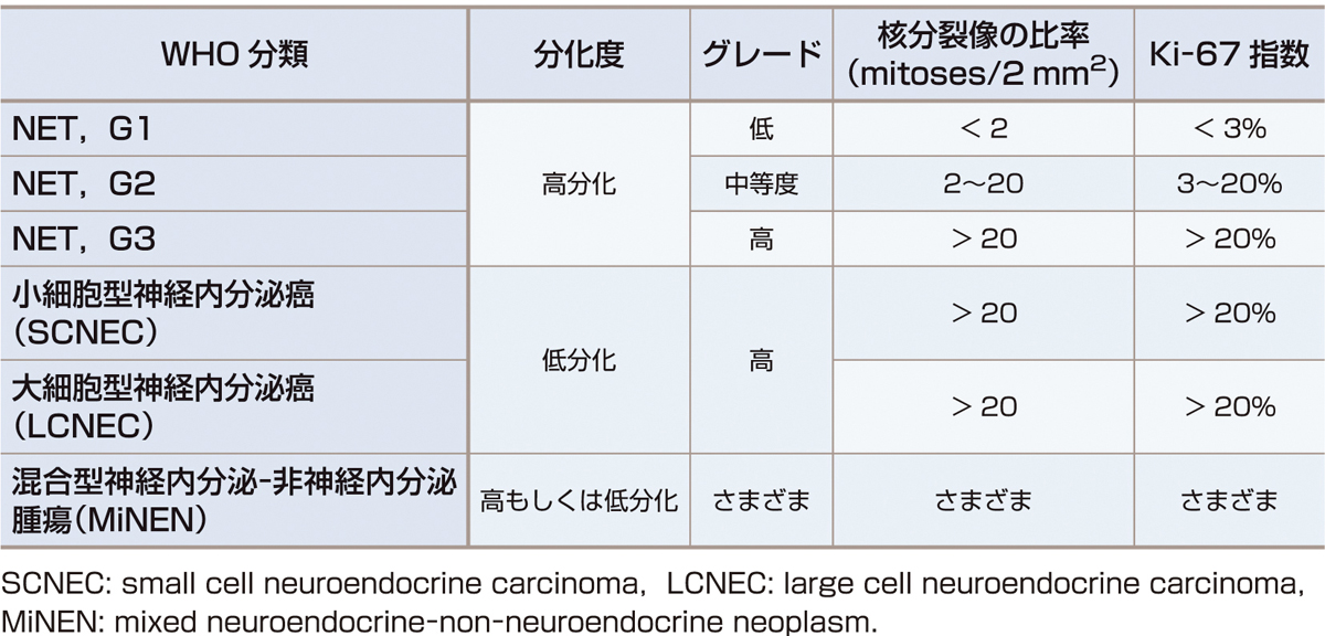 表1　消化管における神経内分泌腫瘍のWHO分類とグレードの評価基準． 