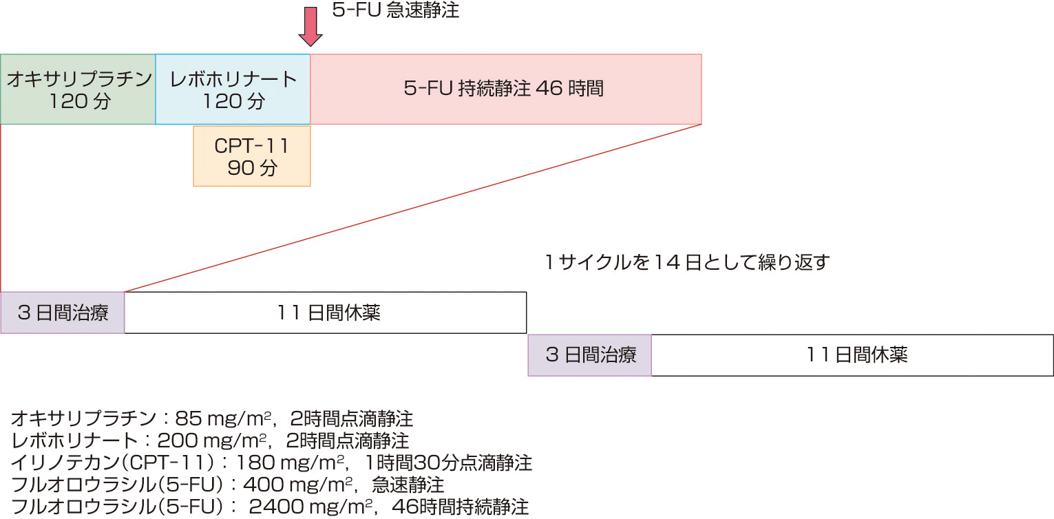 図1　FOLFIRINOX療法の治療法 (Conroy T, Desseigne F, et al: N Engl J Med, 2011; 364: 1817–1825)． modified FOLFIRINOX：5–FU急速静注を削除，イリノテカンを150 mg/m2 に減量する (Ozaka M, Ishii H, et al: A phase II study of modified FOLFIRINOX for chemotherapy–naïve patients with metastatic pancreatic cancer. Cancer Chemother Pharmacol, 2018; 81:1017–1023)