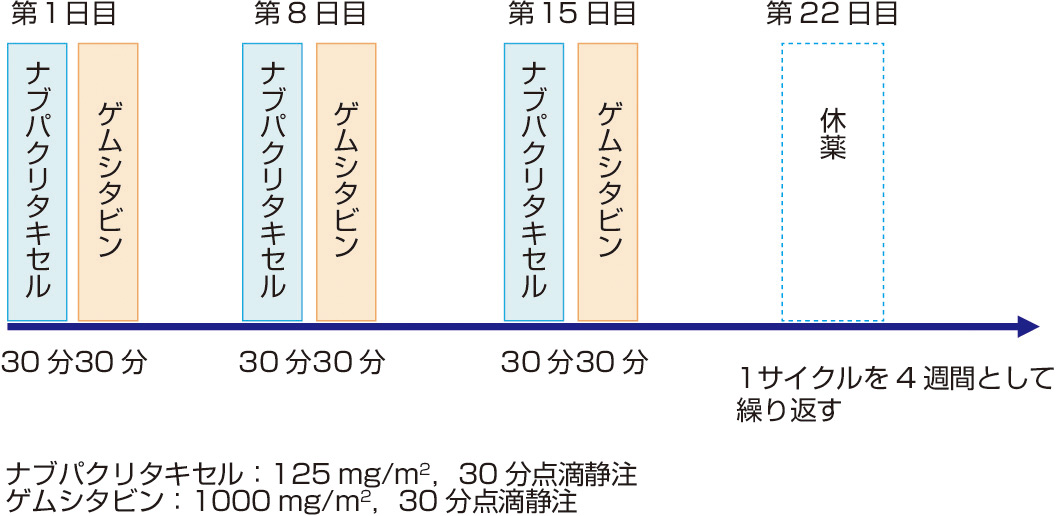 図2　ゲムシタビン＋ナブパクリタキセル併用療法の治療法 (Von Hoff DD, Ervin T, et al: N Engl J Med, 2013; 369: 1691–1703)． 