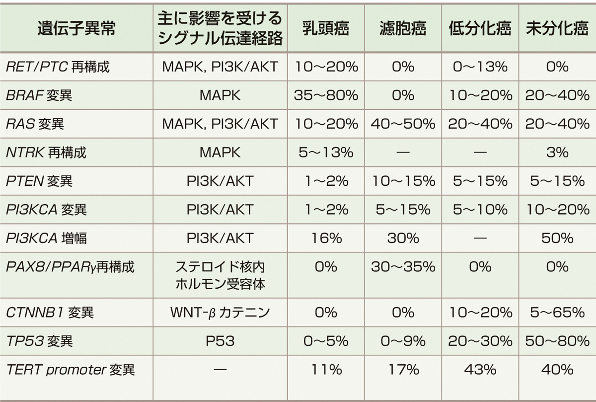 表1　甲状腺濾胞上皮細胞由来の悪性腫瘍における遺伝子異常とその頻度． 