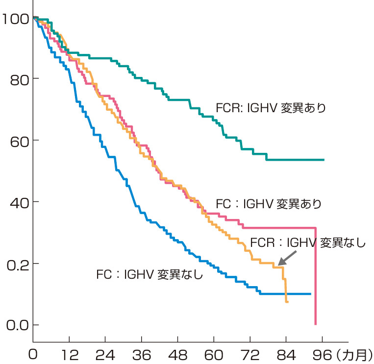 図1　IGHV変異の有無による無増悪生存率の比較 (CLL8) (Fischer K, Bahlo J, et al: Blood, 2016; 127: 208–215より作成)． IGHV変異のある例では，FC,FCRそれぞれに比較において変異なしの例より良好だったが，FCRでの変異なしとFCの変異ありとがほぼ同じ結果であり，FCRの有効性が高かった．また，FCRの変異ありでは生存曲線にプラトーがみられ，治癒につながる可能性が指摘されている．