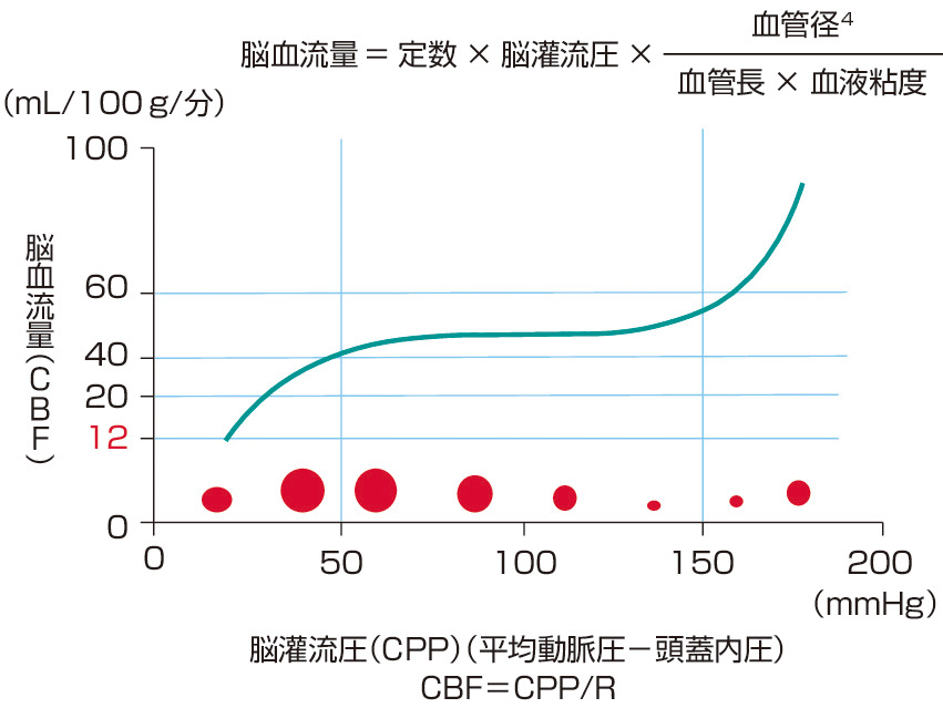 図3　脳血流の自己調節 (Edvinsson L, Mackenzie ET, et al ed: Autoregulation. Arterial and intracranial pressure. Cerebral blood flow and metabolism, Raven Press, 1993; 553–580より作成)． 