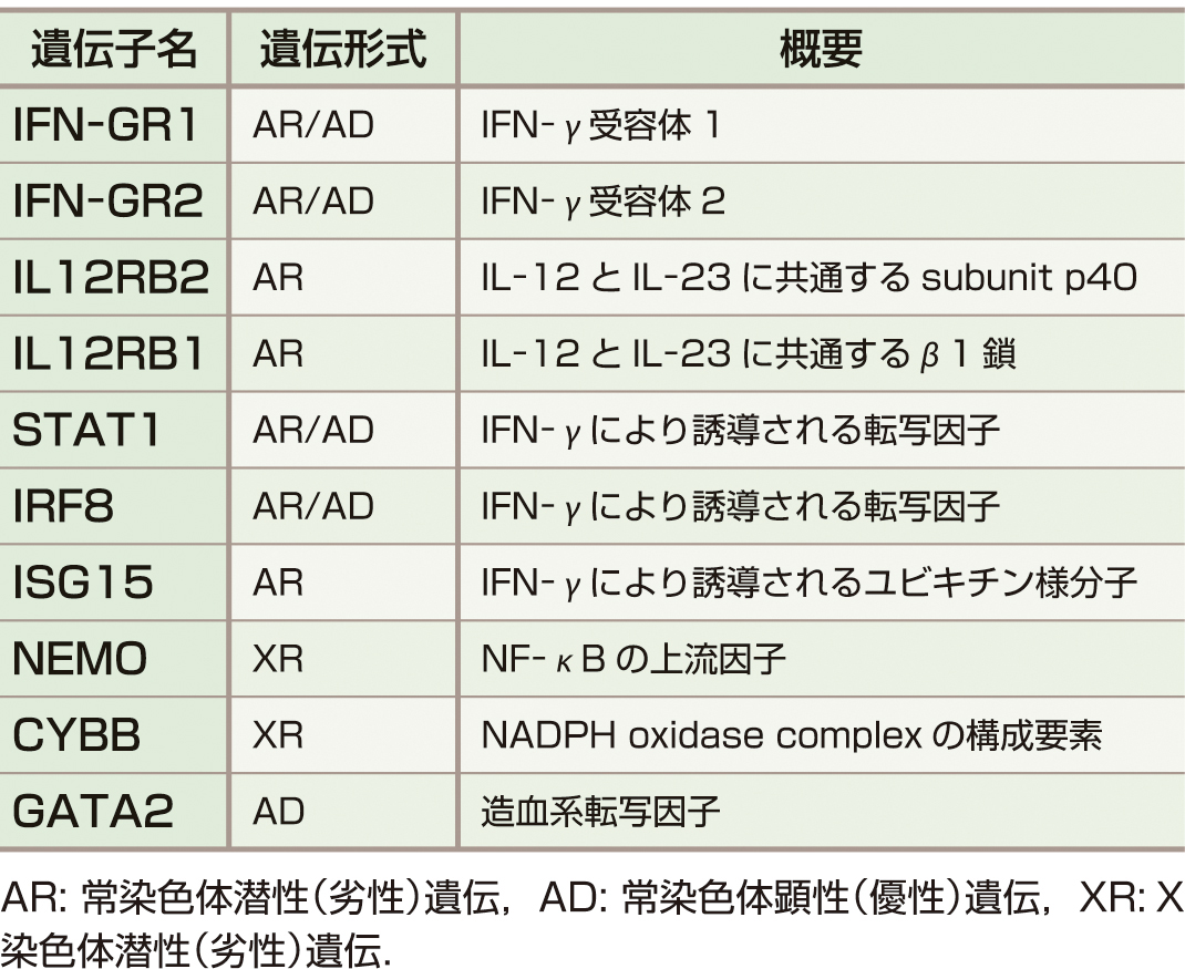 表1　MSMDを引き起こす遺伝子． 