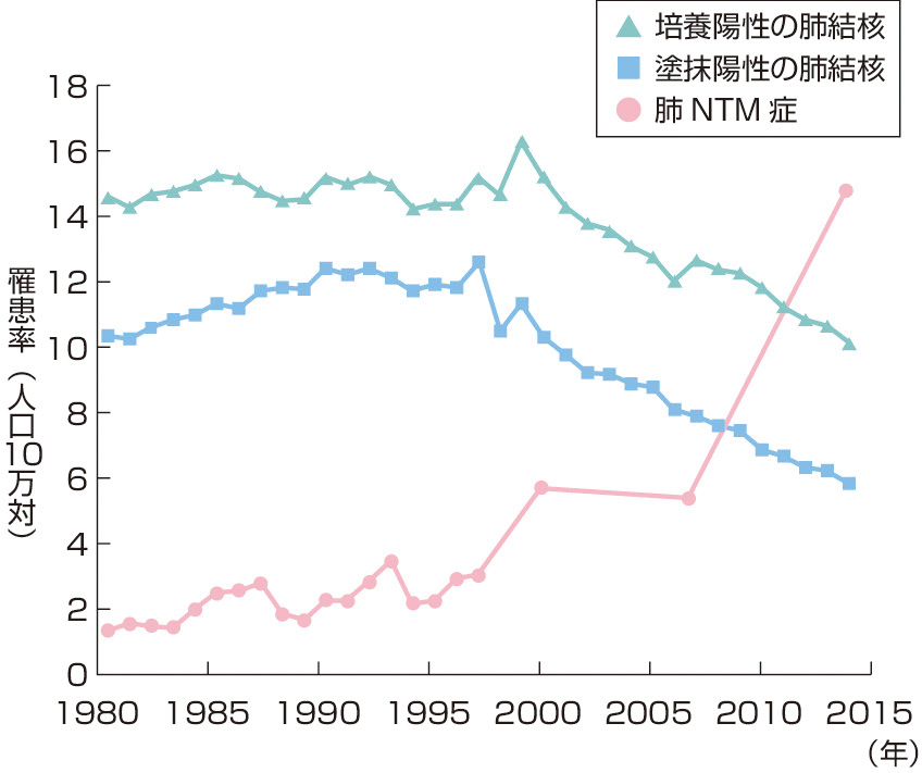 ⓔ図10-2-8　肺NTM症罹患率の推移 (1980～2014年) (Namkoong H, Kurashima A, et al: Emerg Infect Dis, 2016; 22: 1116–1117より作成) 