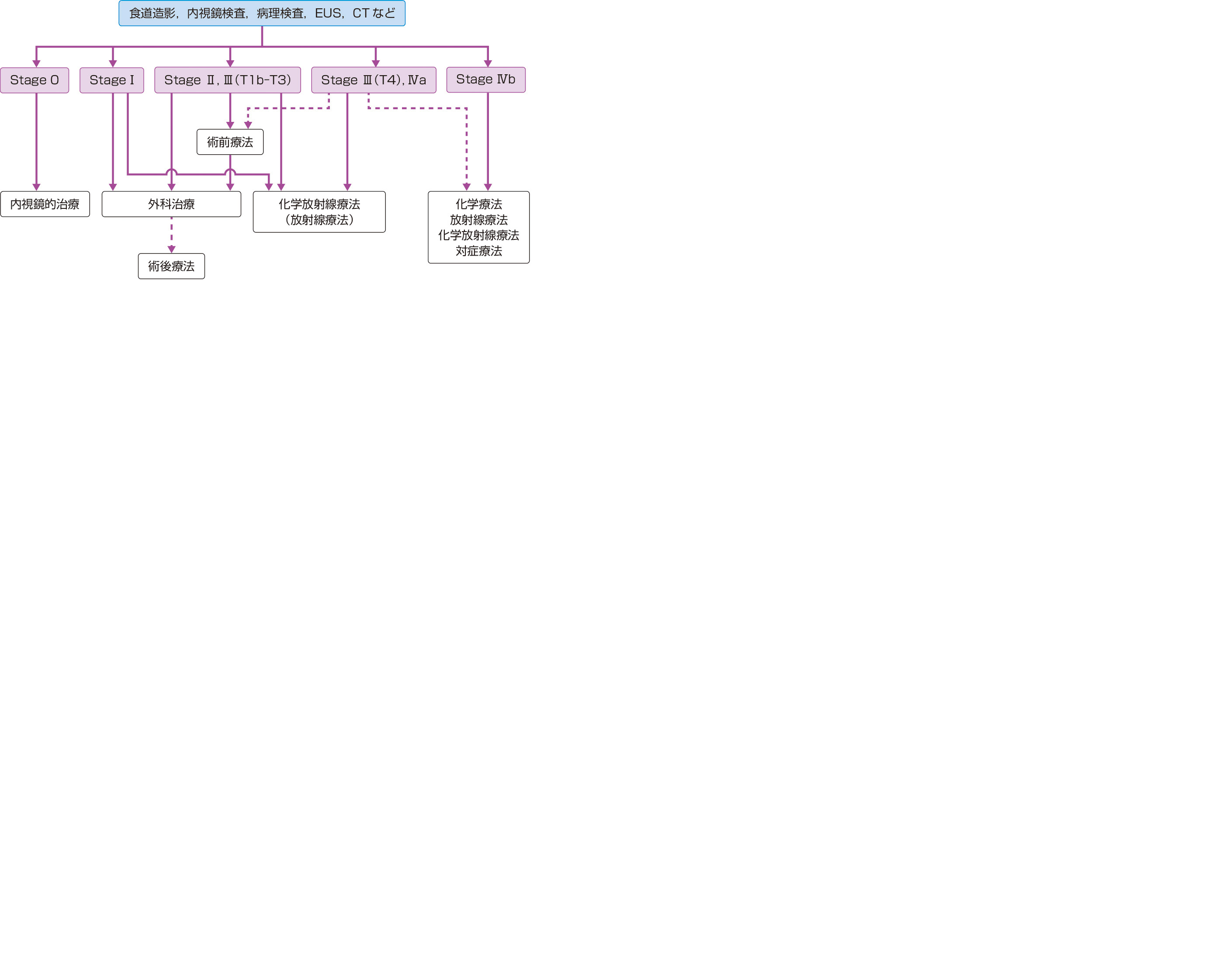 ⓔ図11-3-11　食道癌治療のアルゴリズム 進行度は食道癌取扱い規約 第10版に基づく．