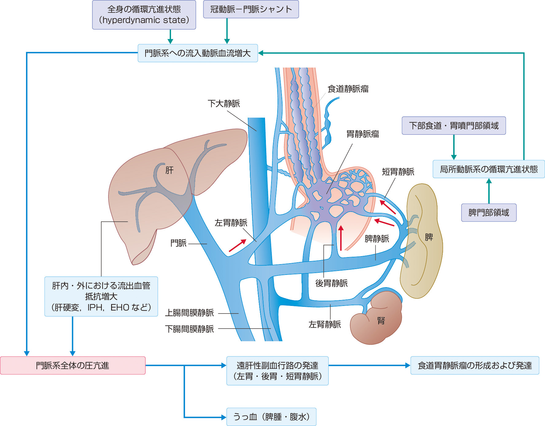 医師は特発性頭蓋内圧亢進症をどのように診断しますか?