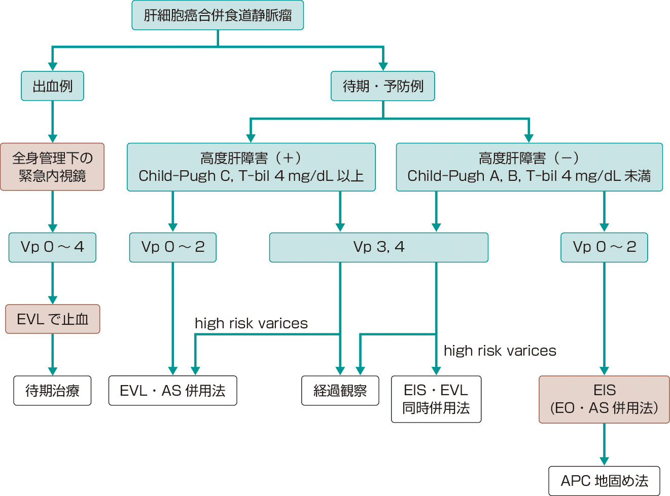 ⓔ図11-3-16　肝癌合併食道静脈瘤の治療指針 