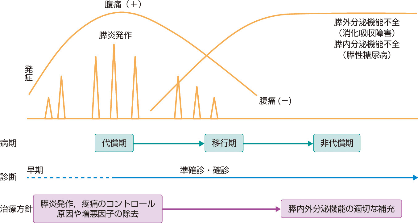 ⓔ図12-29-2　慢性膵炎の病期と診断，治療方針 