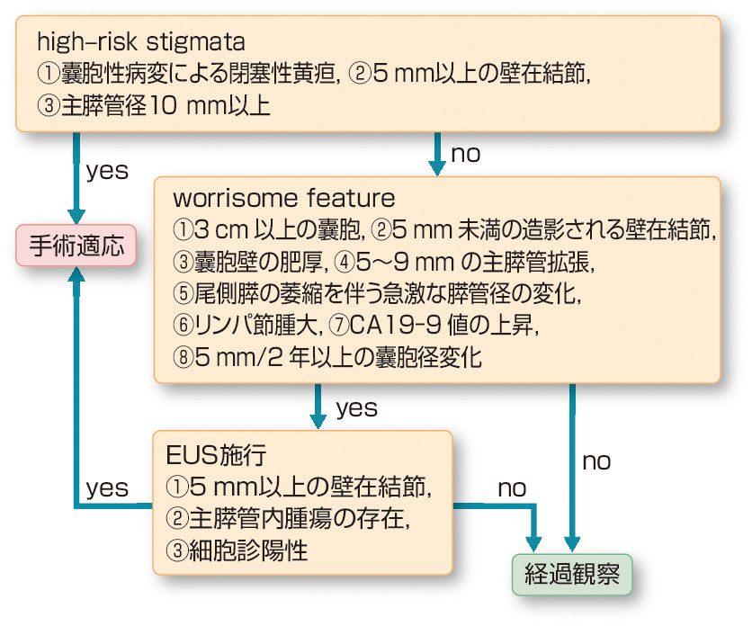 ⓔ図12-29-9　分枝型IPMNの診療方針選択のアルゴリズム 