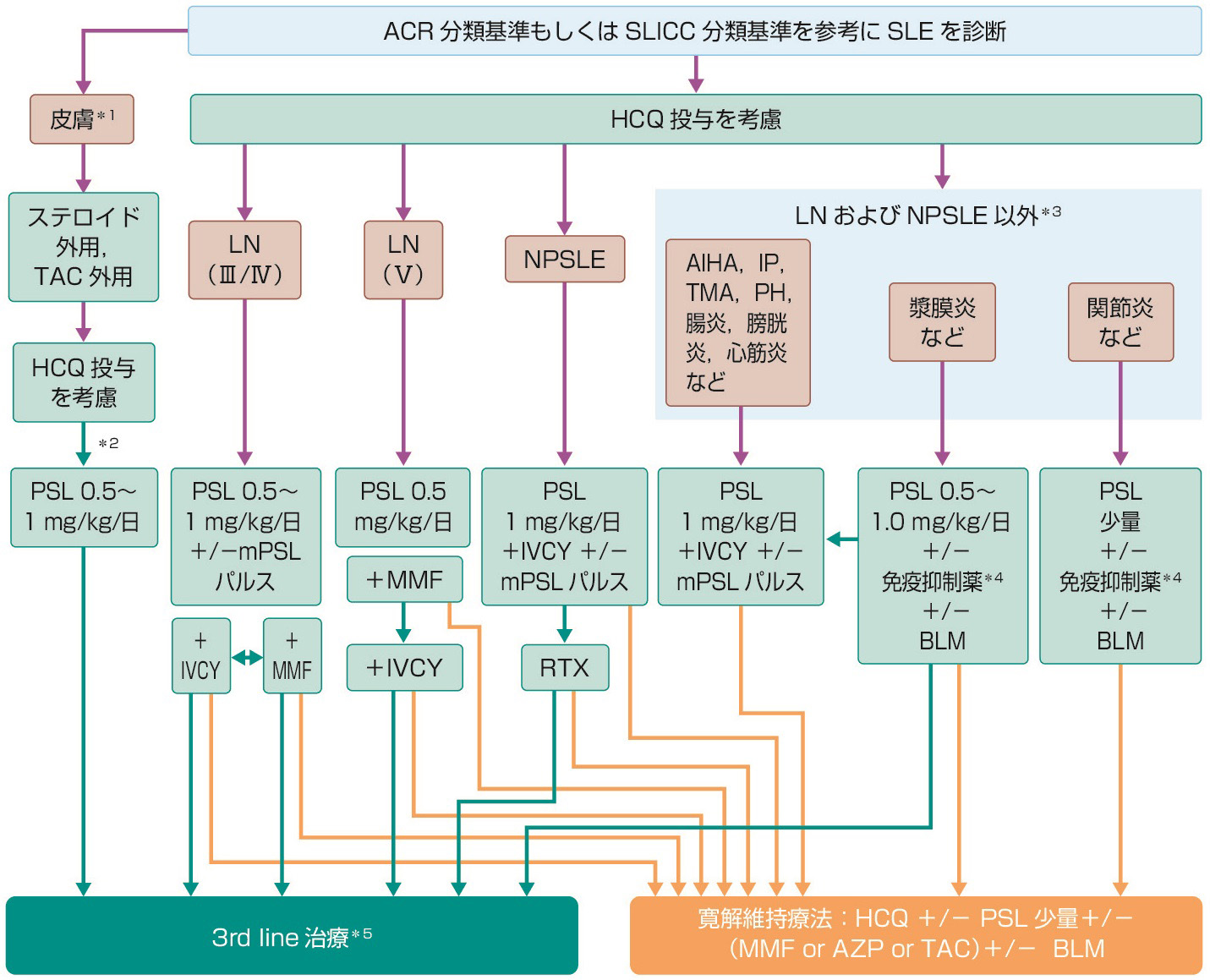 ⓔ図13-4-7　SLE診療のアルゴリズム (厚生労働科学研究費補助金難治性疾患等政策研究事業　自己免疫疾患に関する調査研究 (自己免疫班)，日本リウマチ学会編：全身性エリテマトーデス診療ガイドライン2019，南山堂，2019) <br>緑色の➡：効果不充分・無効，橙色の➡：寛解<br>ACR分類基準：1997年改訂1987年米国リウマチ学会分類基準，SLICC分類基準：2012年Systemic Lupus International Collaborating Clinics分類基準，TAC: タクロリムス，HCQ: ヒドロキシクロロキン，LN Ⅲ，Ⅳ，Ⅴ: ループス腎炎ISN/RPS分類Ⅲ，Ⅳ，Ⅴ型，AIHA: 自己免疫性溶血性貧血，IP: 間質性肺炎，TMA: 血栓性微小血管症，PH: 肺高血圧症，mPSL: メチルプレドニゾロン，RTX: リツキシマブ，BLM: ベリムマブ． ＊1: 主たる治療標的臓器が皮膚の場合 (皮疹) ＊2: 重症，広範囲，活動性が高い皮疹の場合 ＊3: それぞれの臓器病変の重症度に応じて適宜治療を検討する ＊4: アザチオブリン (AZP)，TAC，MMF ＊5: RTX，BLM，ミゾリビン (MZR)，TAC，シクロスポリンA (CsA)，メトトレキサート (MTX)，シクロホスファミド内服投与，血漿交換療法の前治療からの変更・追加・組み合わせ 本アルゴリズムについては各薬剤の添付文書を参照のうえ，リスクとベネフィットのバランスを考えて使用すること．