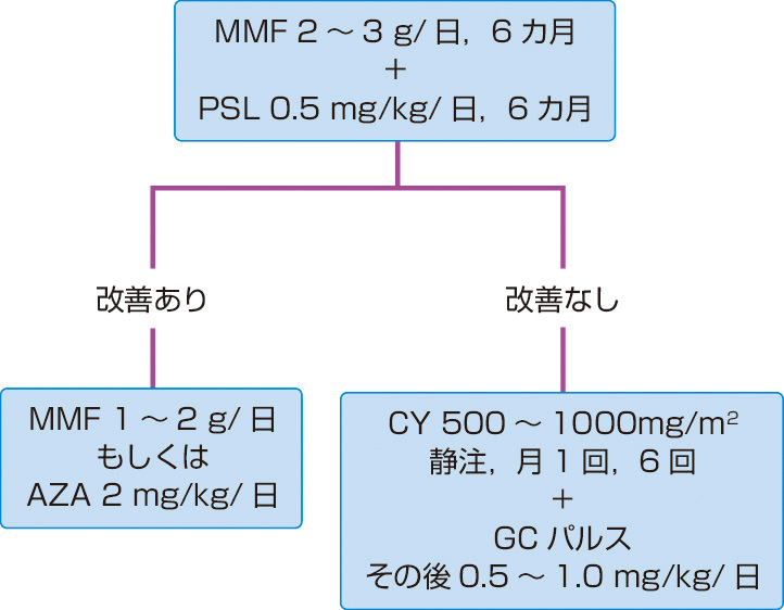 ⓔ図13-4-9　Ⅴ型ループス腎炎の寛解導入療法 (Hahn BH, Mc Mahon MA, et al: Arthritis Care Res (Hoboken), 2012; 64: 797–808より作成) CY: シクロホスファミド，AZA: アザチオプリン，GC: グルココルチコイド．