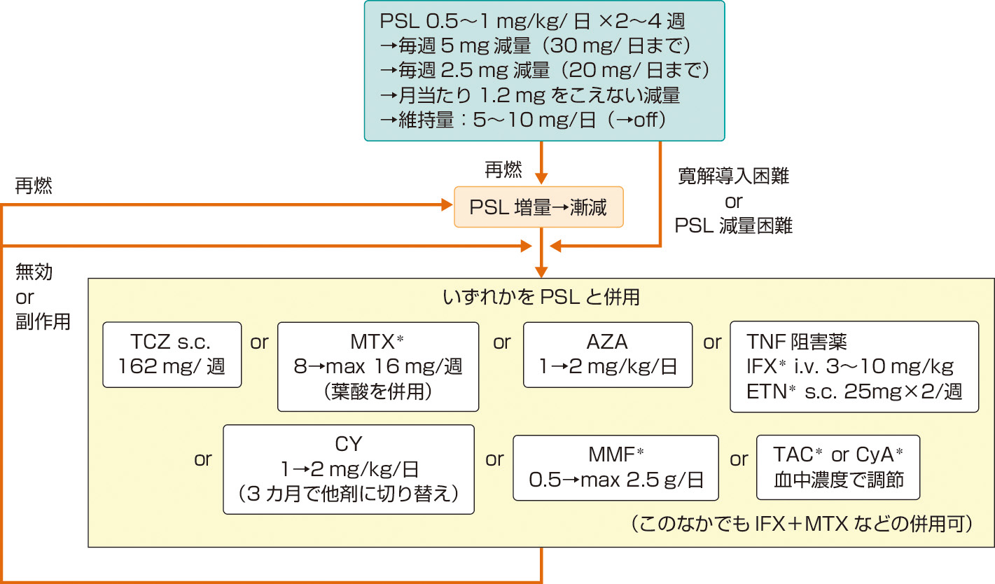 ⓔ図13-8-2　高安動脈炎の治療アルゴリズム (日本循環器学会，日本リウマチ学会，他：血管炎症候群の診療ガイドライン 2017年改訂版，2018) ＊：保険適用なし． PSL：プレドニゾロン，TCZ：トシリズマブ，MTX：メトトレキサート，AZA：アザチオプリン，IFX：インフリキシマブ，ETN：エタネルセプト，CY：シクロホスファミド，MMF：ミコフェノール酸モフェチル，TAC：タクロリムス，CyA：シクロスポリン．