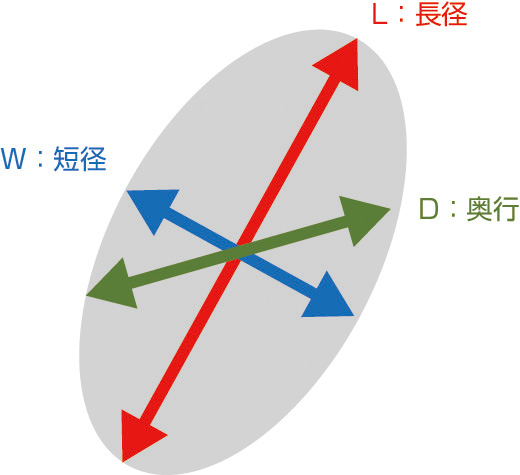 ⓔ図14-14-4　楕円法を用いた腎容積の計測 腎容積の計測はCTまたはMRI画像を用いたvolumetric法により行うのが基本となるが，専用の画像解析システムが必要となるため，施設によっては施行が困難である． 楕円法では腎臓を楕円体と見立てて容積を計算する．腎容積＝π/6×長径 (L：length)×短径 (W：width)×奥行 (D：depth) としてそれぞれの腎容積を算出し，それぞれの腎容積の和を両側腎容積 (total kidney volume: TKV) とする．