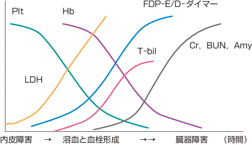 ⓔ図14-6-6　TMA発症後の検査所見の推移 TMAの発症と進展はその原因が何であれ，図のように進行することが多い．血管内皮障害→多発性の微小血栓の生成に伴う血小板の消費→微小血栓に赤血球が衝突破砕し生じるLDH上昇→溶血性貧血と黄疸→線溶系の亢進→血流障害による急性腎障害を含む臓器障害．回復時も同様に血小板，LDHから回復する．