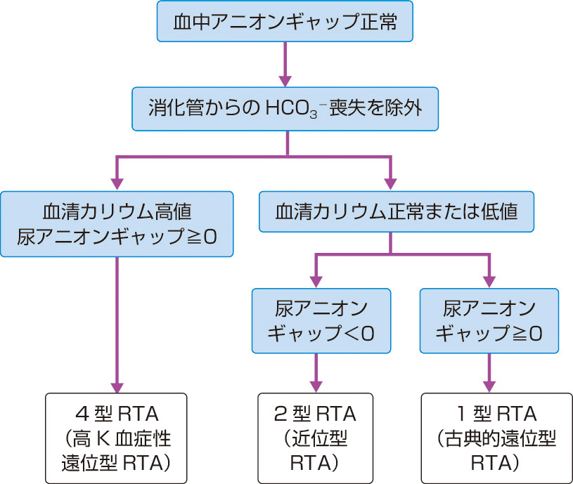 ⓔ図14-9-2　アニオンギャップ正常代謝性アシドーシスおよびRTAの鑑別診断のアルゴリズム (Alexander RT, Bitzan M: Pediatr Clin North Am, 2019; 66: 135–157より作成) 血中アニオンギャップ正常の代謝性アシドーシスの鑑別診断として，まず消化管からのHCO3－ 喪失 (下痢，尿管結腸吻合など) を除外する．さらに，尿アニオンギャップ (尿Na＋＋K＋－Cl－) を測定し，この値が負 (遠位でのH＋ 排泄は正常) であれば近位型 (2型) RTA，正となれば遠位型 (カリウム低値で1型，高値で4型) RTAと診断される．