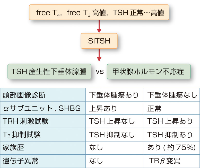 ⓔ図15-2-10　SITSHを呈する病態の鑑別 