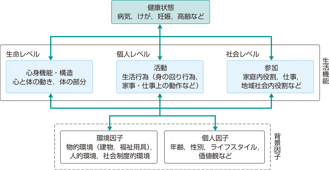 ⓔ図2-1-4　生活機能モデル (ICF，2001) 