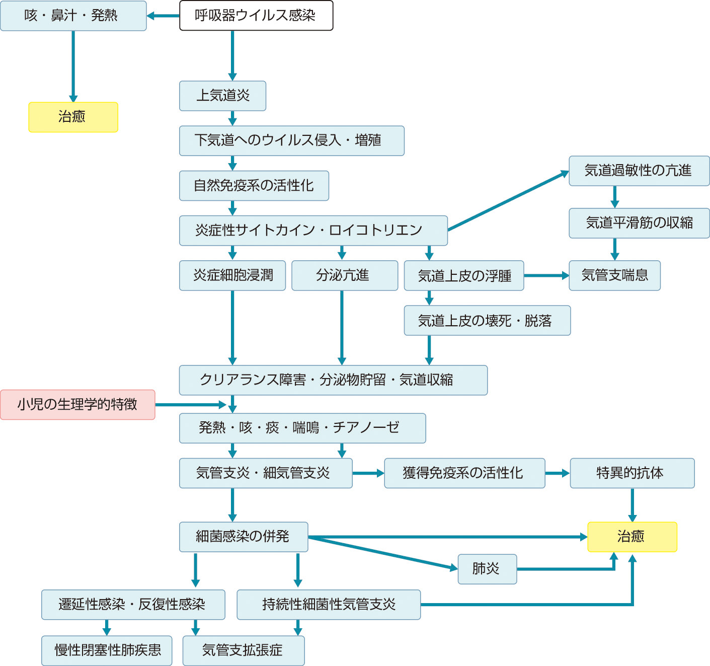 ⓔ図7-10-18　ウイルス感染による呼吸器疾患と病態生理 (市丸智浩：小児内科，2014；46：69–74) 