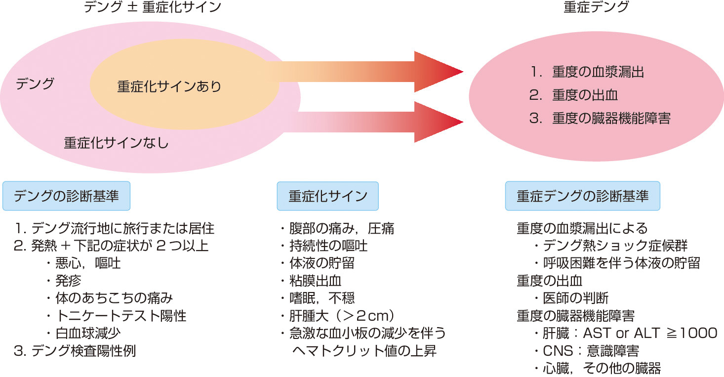 ⓔ図7-10-8　デング熱の重症度分類 (World Health Organization (Switzerland):Denque Guidelines for Diagnosis, Treatment, Prevention and Control, WHO, 2009より作成) 2009年，WHOが導入した新しいデングウイルス感染症の分類ではデング熱の病型をデング (重症化サインなし)，デング (重症化サインあり)，重症デングの３つのグループに分類して，グループごとに治療法を記載している．厚生労働省の「蚊媒介性感染症の診療ガイドライン」もこの分類に基づいている．