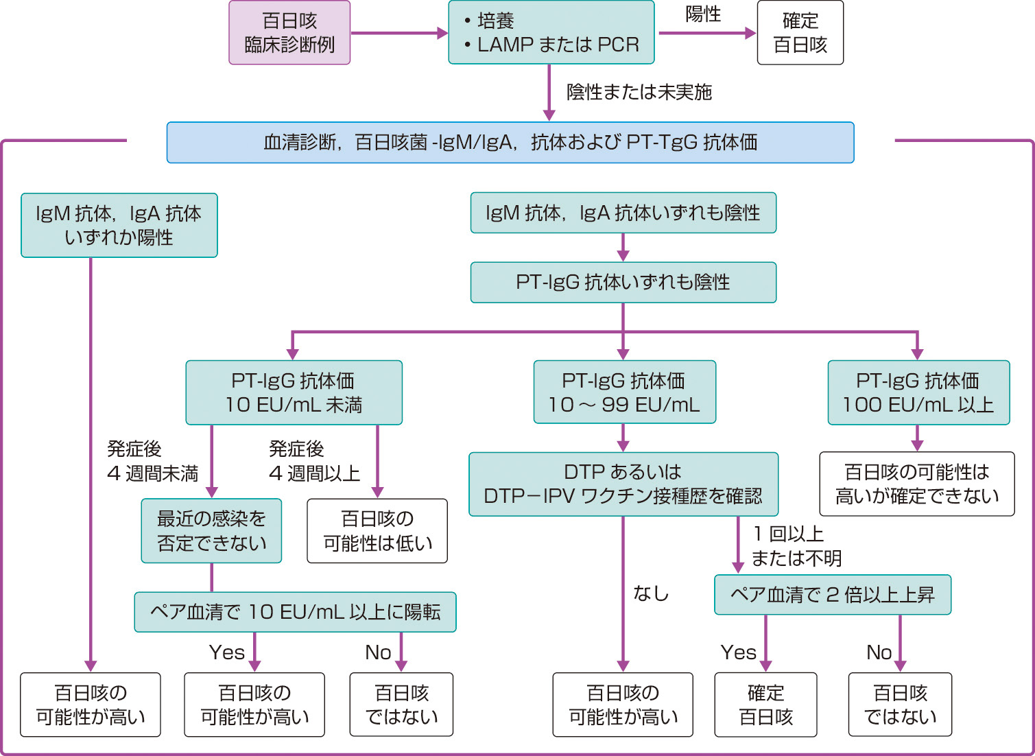 ⓔ図7-3-10　百日咳診断基準フローチャート (日本呼吸器学会咳嗽・喀痰の診療ガイドライン2019作成委員会：咳嗽・喀痰の診療ガイドライン2019，メディカルレビュー社，2019より作成) 