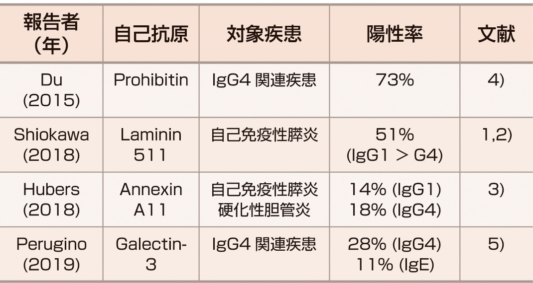 表1　IgG4関連疾患の自己抗体． IgG4関連疾患との関連性，あるいは病原性を有する自己抗体が報告されている．特にShiokawaらが報告した抗Laminin–511抗体は動物モデルで膵・唾液腺で病変を惹起しうること，自己免疫膵炎の約半数で陽性になることなど，病因として，また診断マーカーとして注目される．