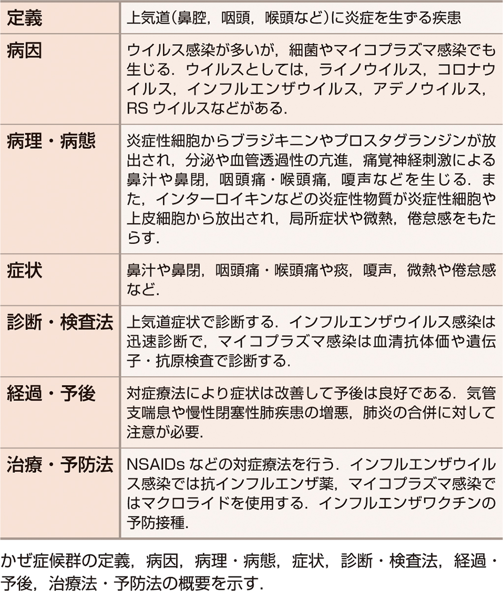 ⓔ表10-2-1　かぜ症候群の概要 
