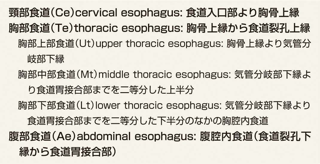 ⓔ表11-3-1　食道癌の占拠部位 