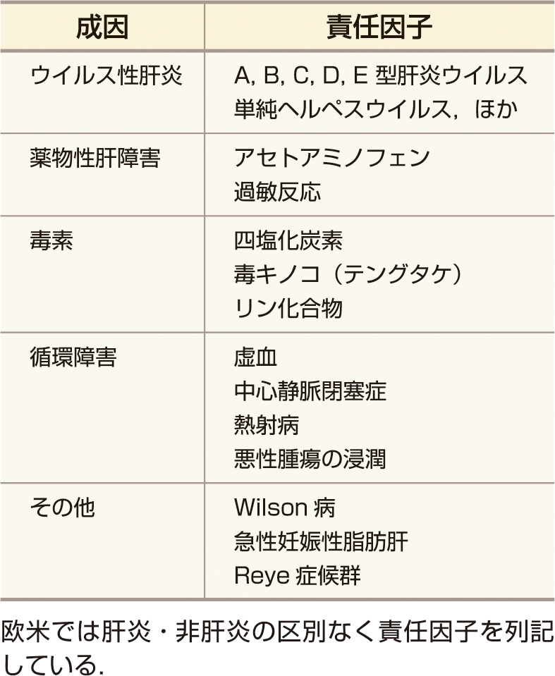 ⓔ表12-3-1　急性肝不全の主な原因 (Lee WM: N Engl J Med, 1993; 329: 1862–1872より作成) 