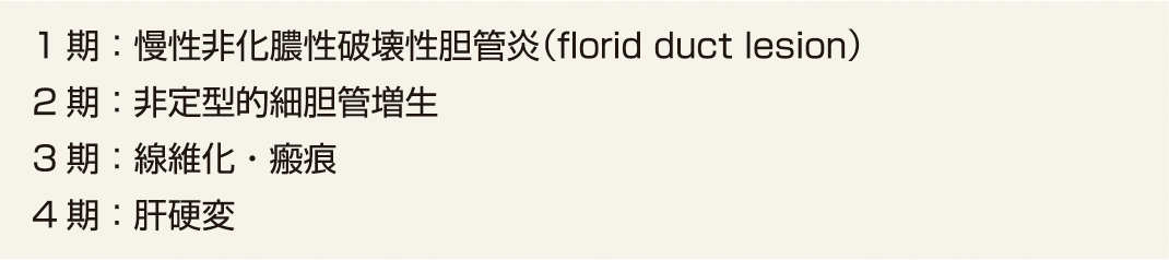 ⓔ表12-8-1　Scheuer分類 