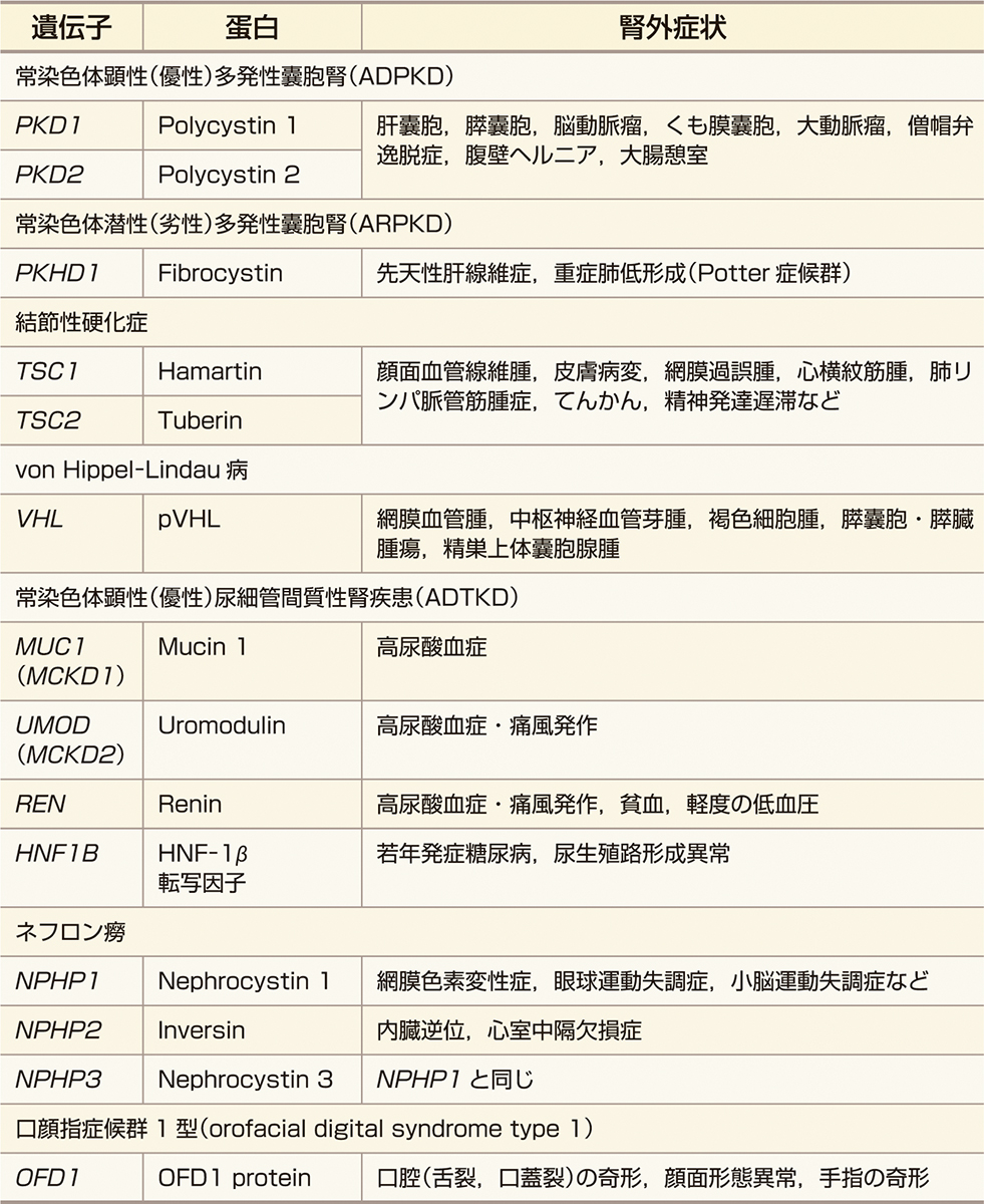 ⓔ表14-14-2　主要な遺伝性嚢胞性腎疾患と特徴 (Torres VE, Harris PC, et al: Lancet, 2007; 369: 1287–1301. Eckardt KU, Alper SL, et al: Kidney Int, 2015; 88: 676–683より作成) 