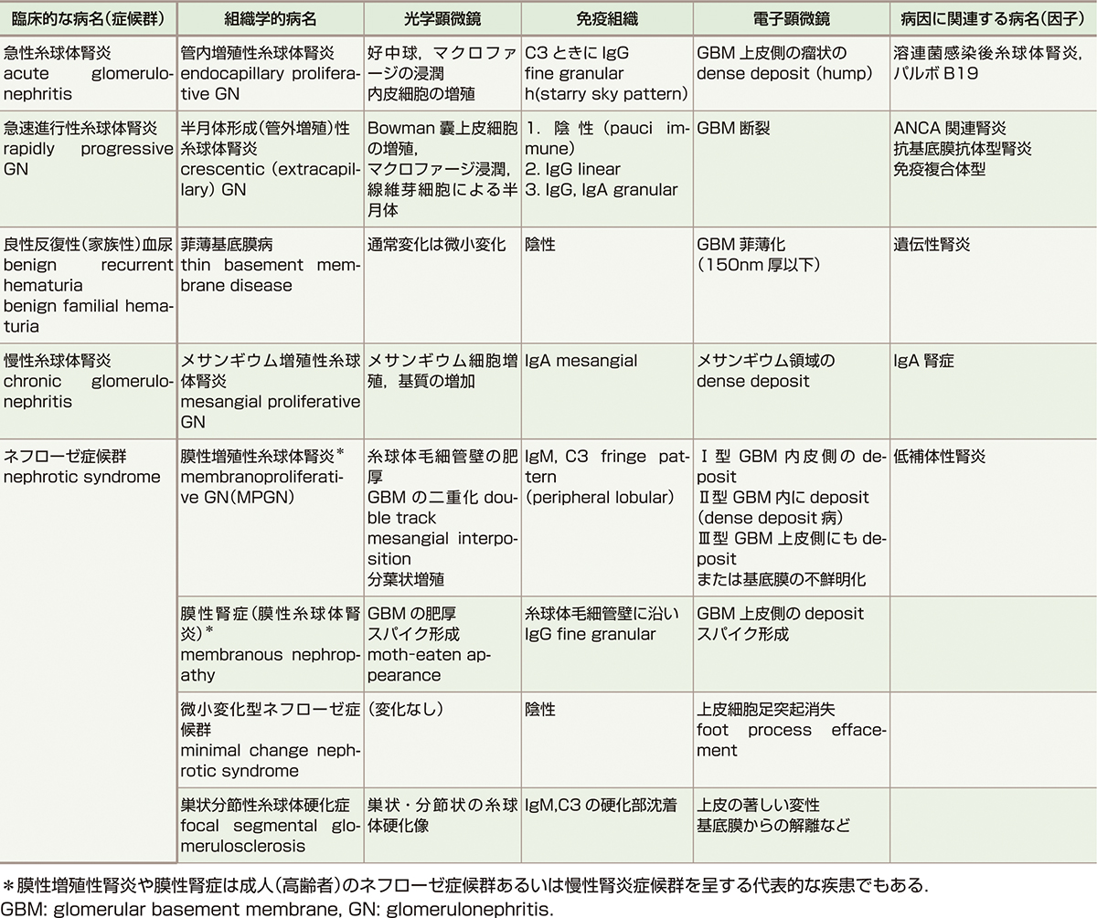 ⓔ表14-3-2　おもな原発性糸球体疾患 (症候群) と病理組織像 