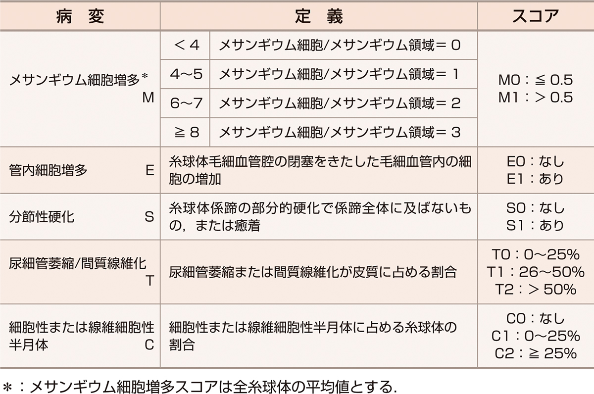ⓔ表14-3-6　Oxford分類 (Working Group of the International IgA Nephropathy Network and the Renal Pathology Society, et al: Kidney Int, 2009; 76: 534–545より作成) 