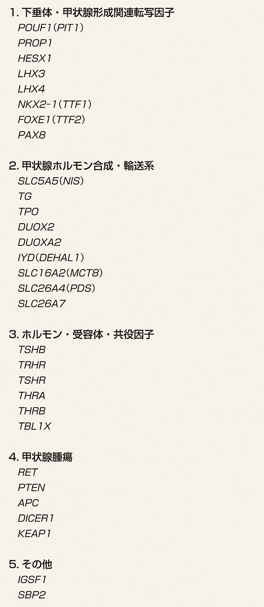 ⓔ表15-4-1　遺伝性甲状腺疾患に関与する遺伝子 