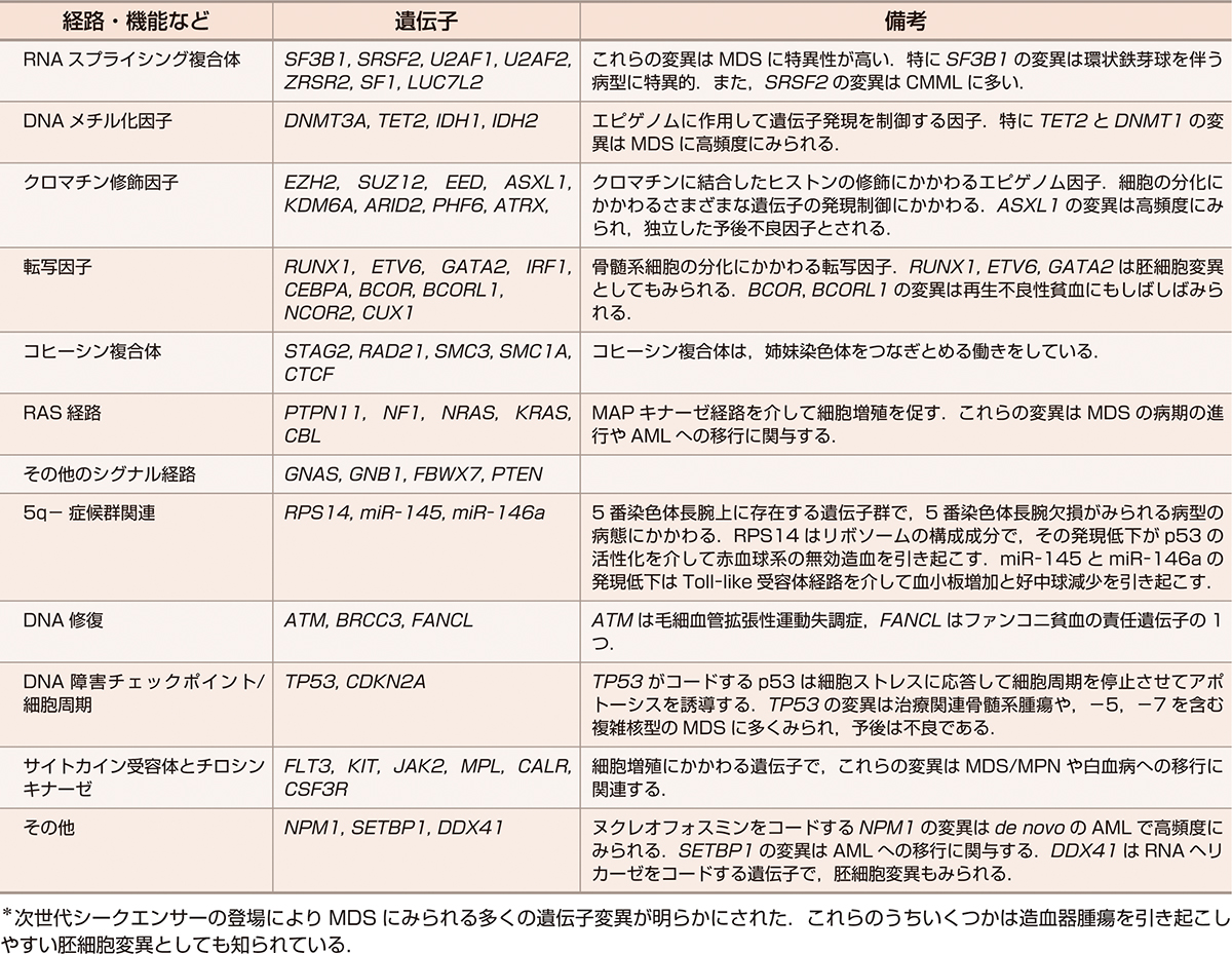 ⓔ表17-9-3　MDSの病態形成にかかわるおもなドライバー遺伝子＊ 