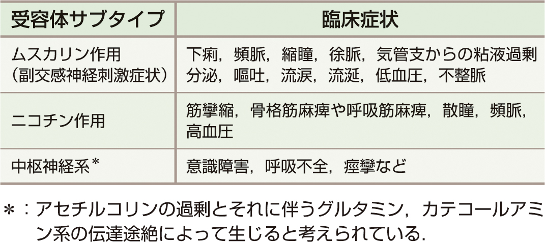 ⓔ表18-11-4　急性コリン作動クリーゼ 