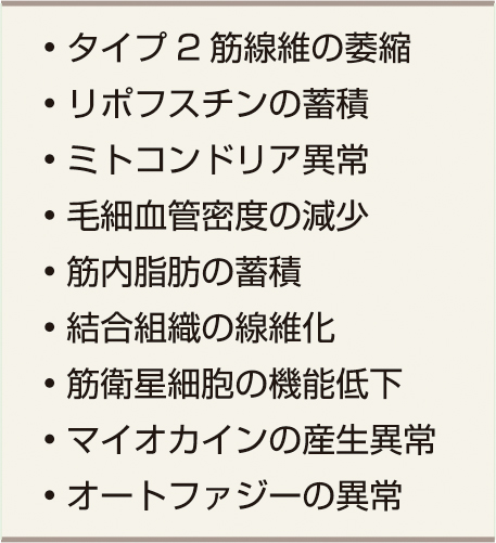 ⓔ表18-21-1　骨格筋の加齢変化 