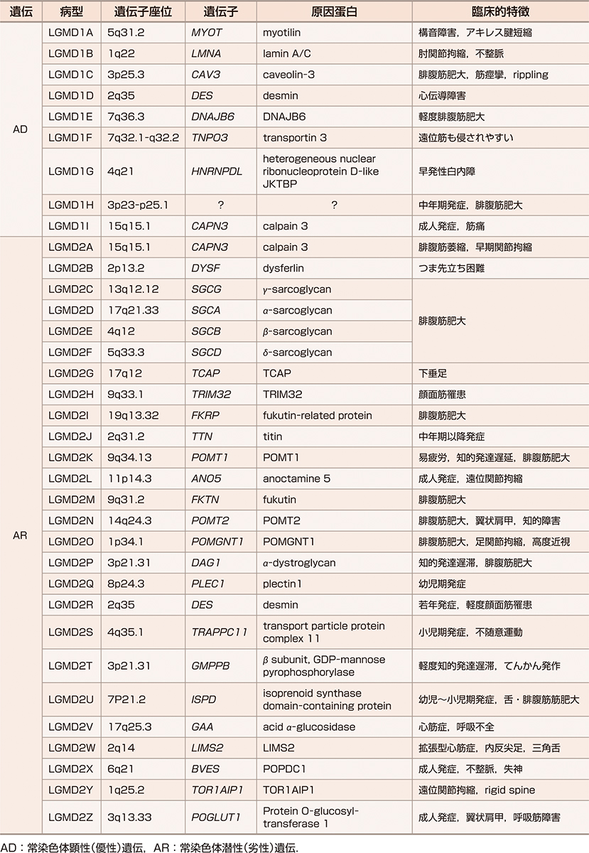 ⓔ表18-21-2　肢帯型筋ジストロフィーの分類と臨床的特徴 