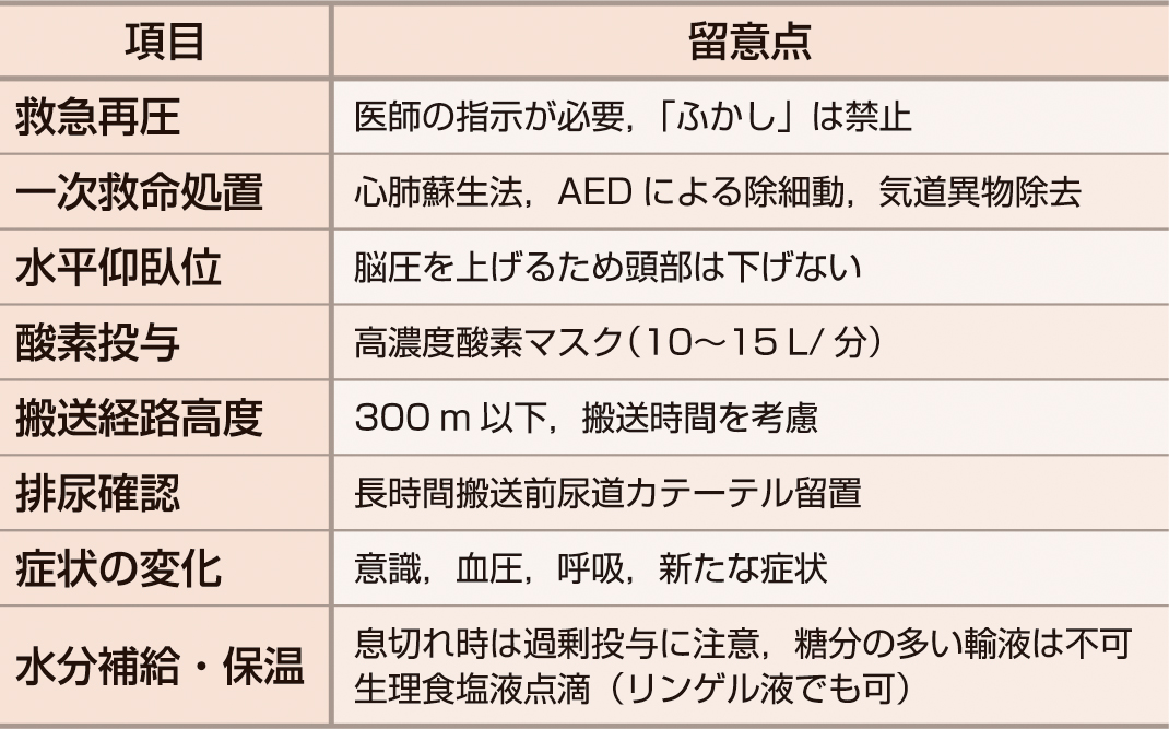 ⓔ表2-1-1　発症/搬送時の処置 