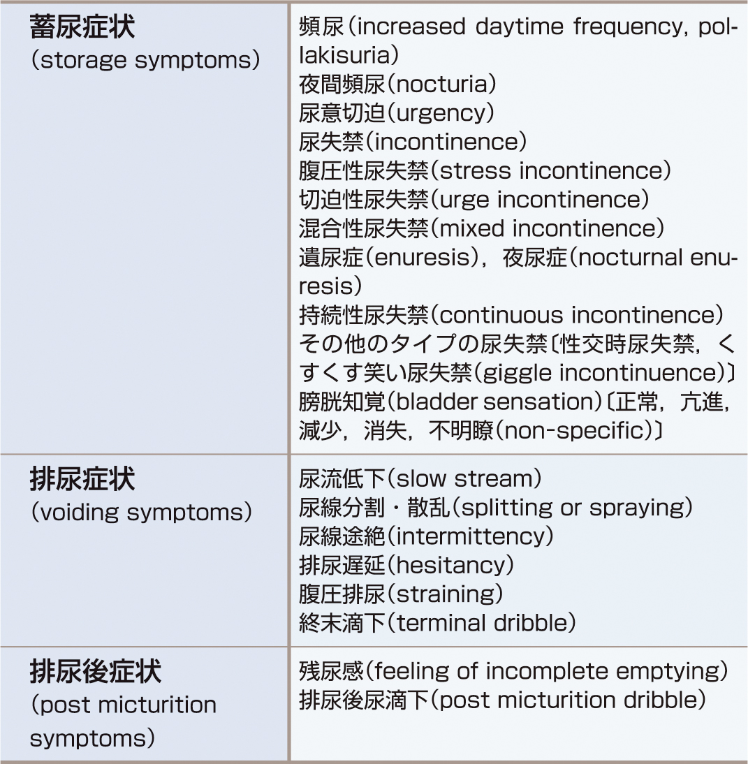 ⓔ表5-42-1　代表的な下部尿路症状 