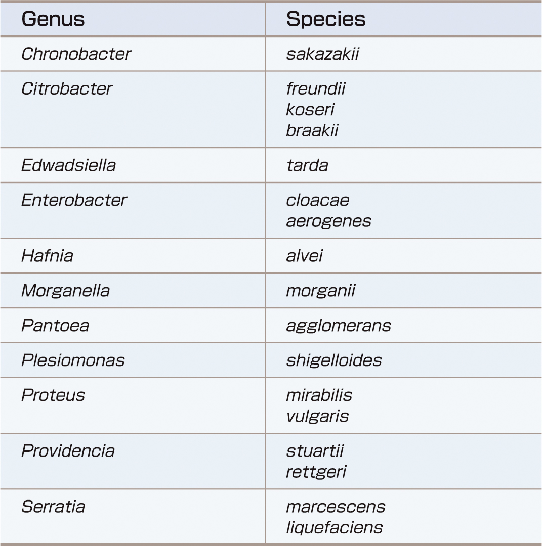 ⓔ表7-3-6　その他のおもな腸内細菌科細菌 (Nelson GE, Greene MH: Enterobacteriaceae. Mandell, Douglas and Bennett’s Principles and Practice of Infectious Diseases, 9th ed, Elsevier, 2019; 2669–2685より作成) 