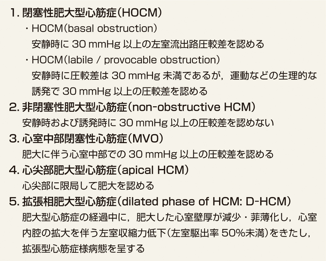 ⓔ表8-13-1　HCMの表現型の分類 (日本循環器学会/日本心不全学会合同ガイドライン：心筋症診療ガイドライン (2018年改訂版)．http://www.j-circ.or.jp/guideline/pdf/JCS2018_tsutsui_kitaoka.pdf) 