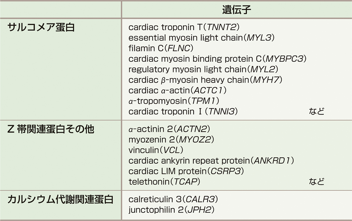ⓔ表8-4-1　HCM原因遺伝子 