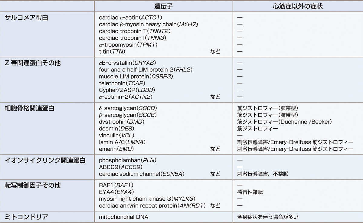 ⓔ表8-4-2　DCM原因遺伝子 
