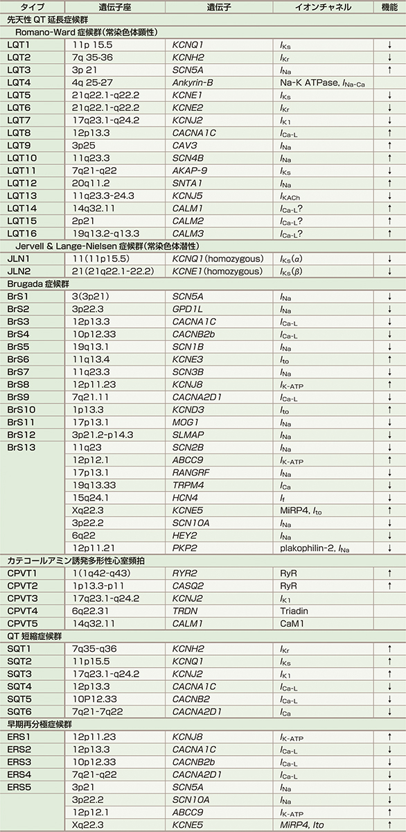 ⓔ表8-4-3　遺伝性不整脈疾患の原因遺伝子とイオンチャネル機能 