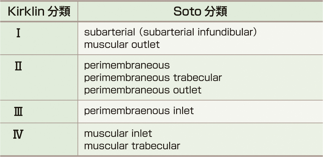 ⓔ表8-8-1　心室中隔欠損の種々の分類法 