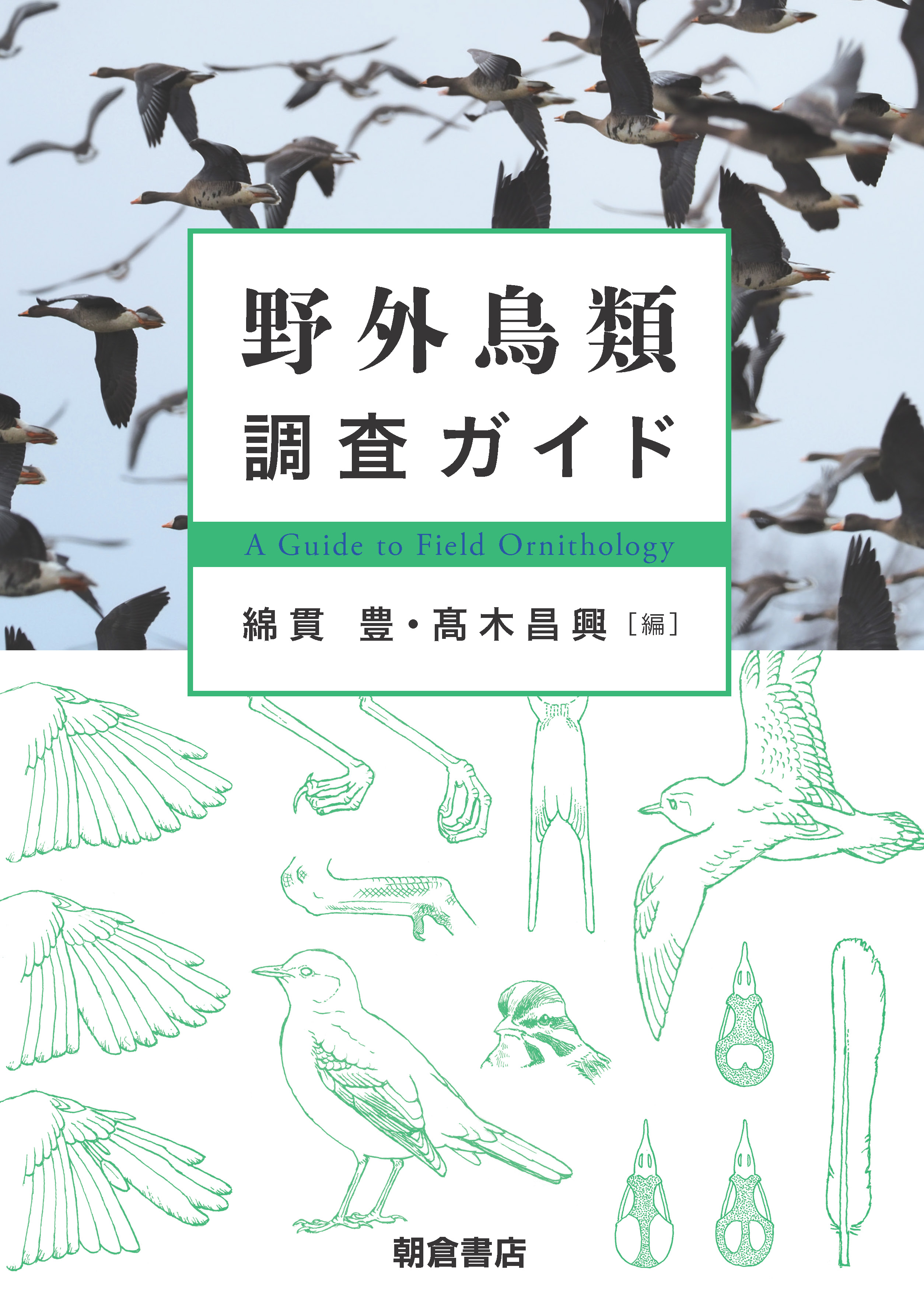 写真：野外鳥類調査ガイド