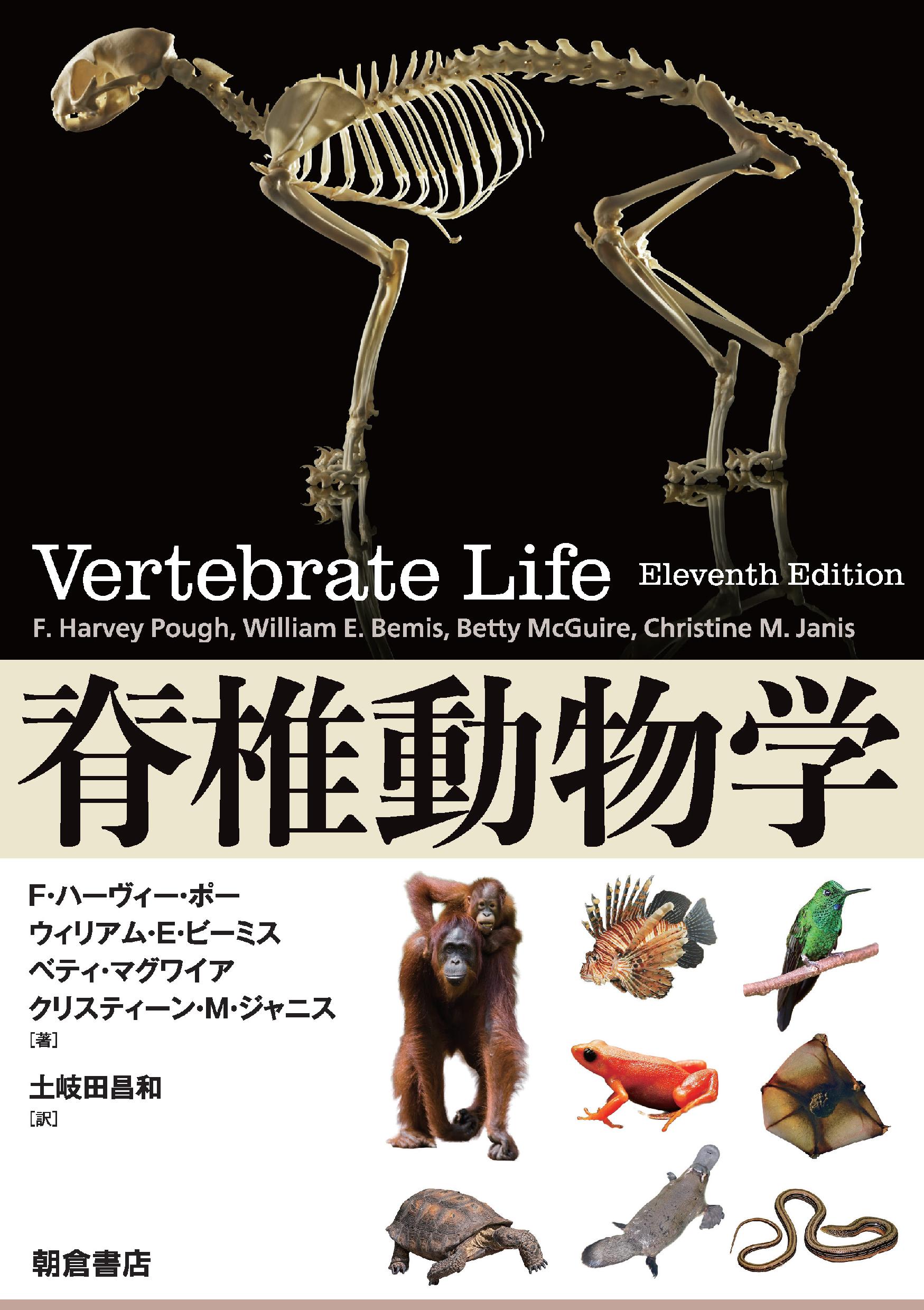 : 脊椎動物学 