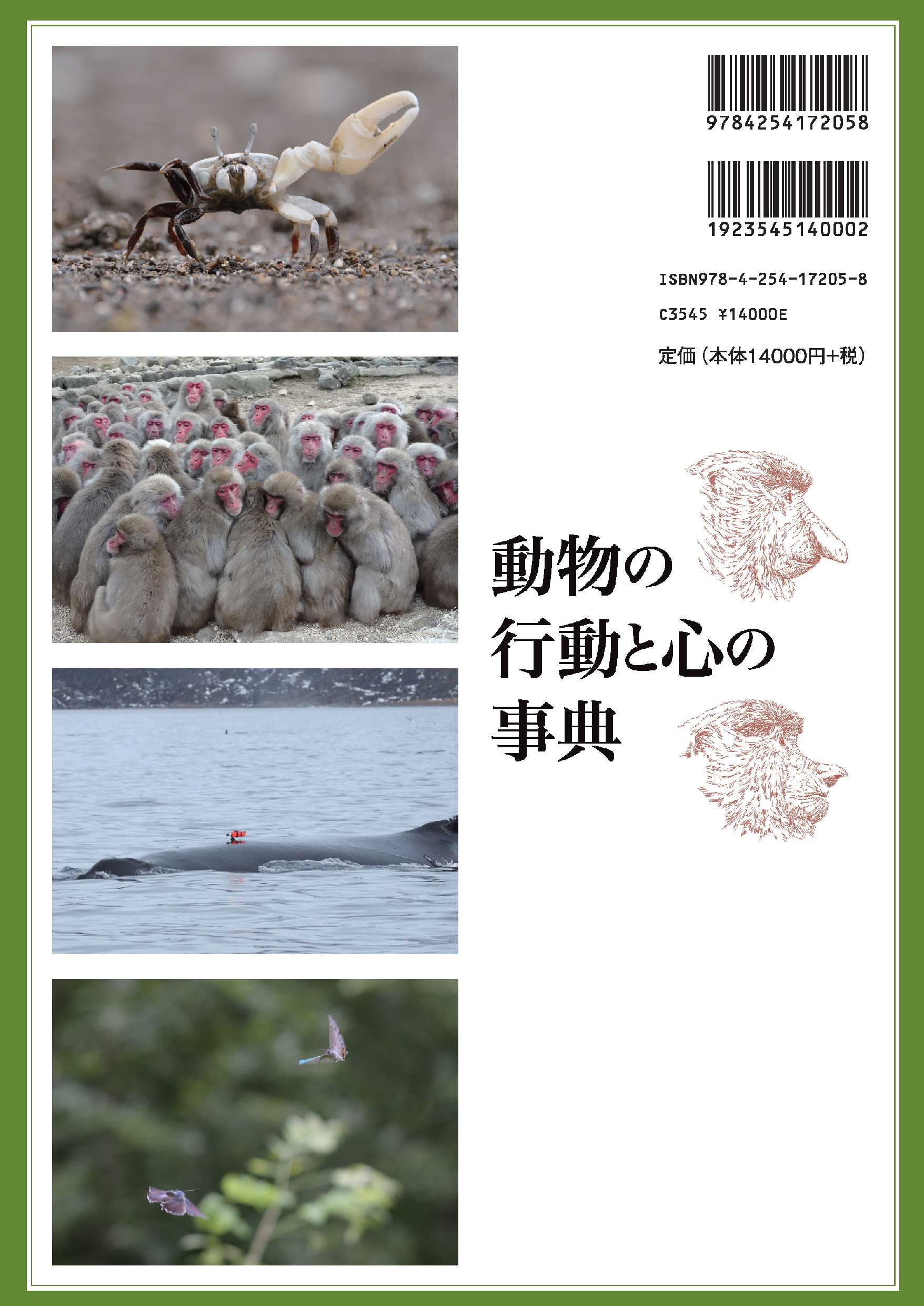 写真 : 動物の行動と心の事典